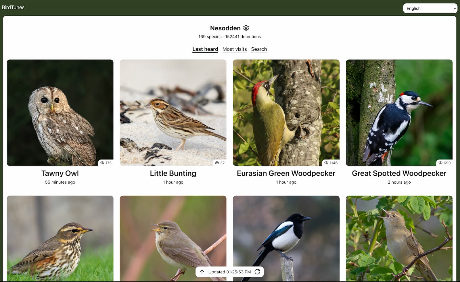 BirdTunes