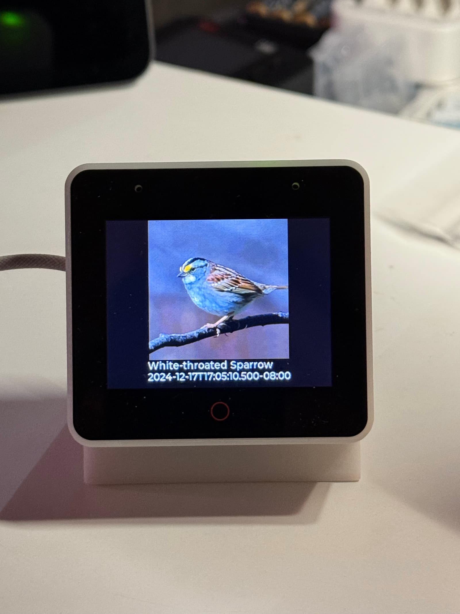 BirdWeather-Desktop-Box