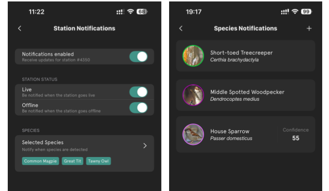 Mobile-Notifications
