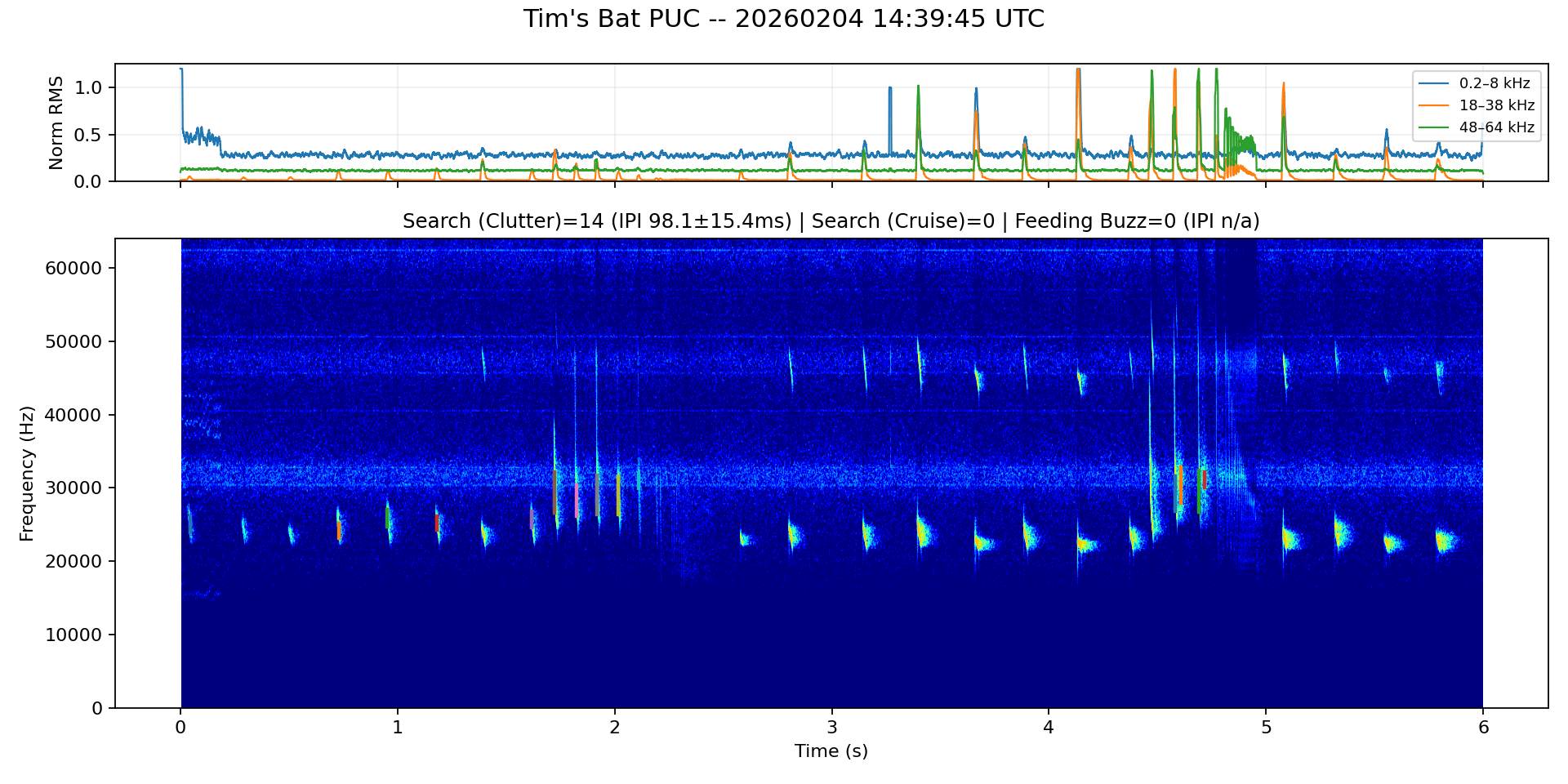 Bat-Chase-Spectrogram