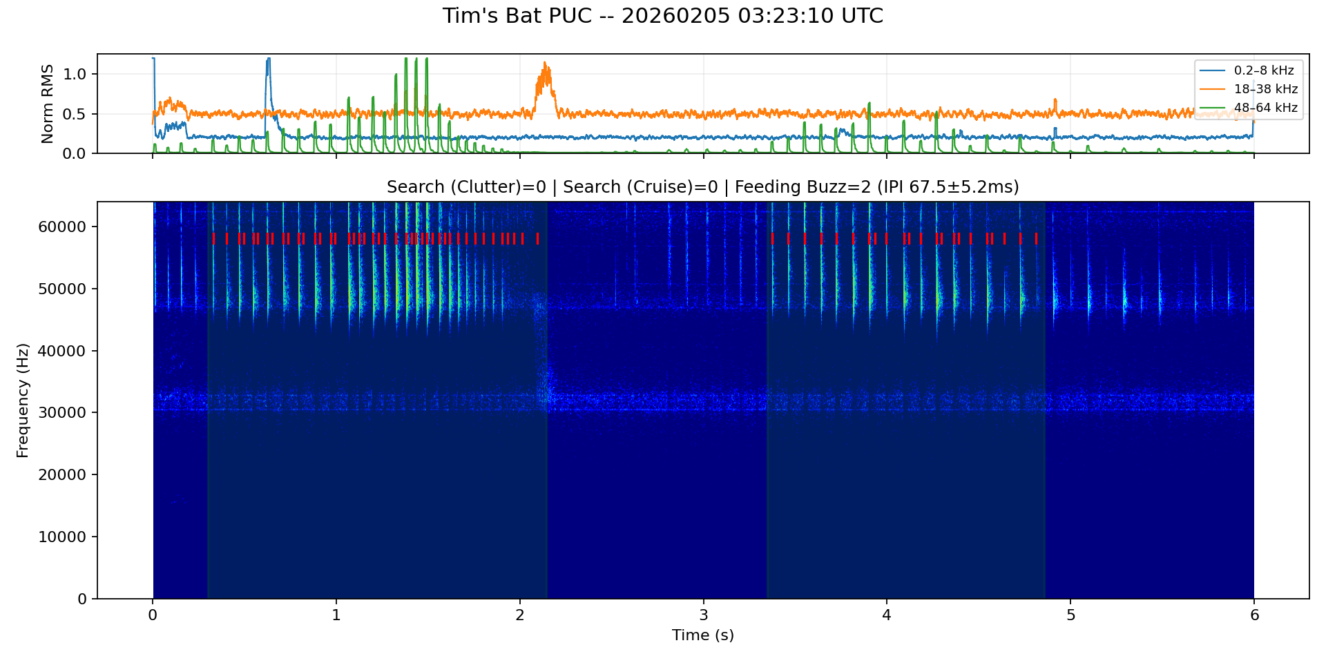 Bat-Feeding-Buzz-Spectrogram