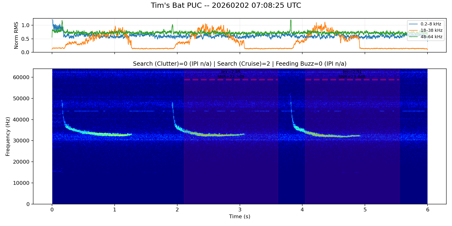 Bat-Search-Cruise-Spectrogram
