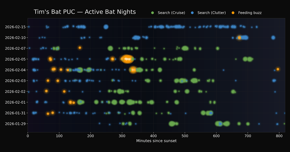 Active-Bat-Nights