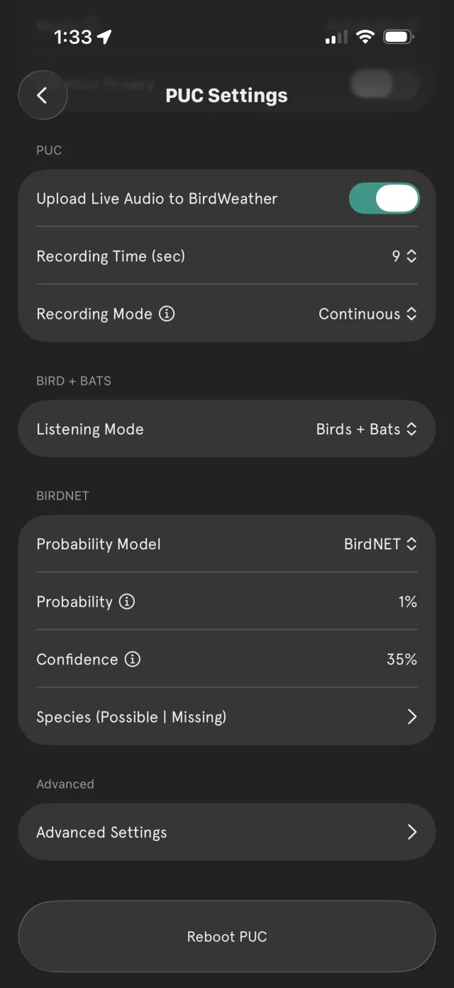 Birds + Bats — birds and bats detected together