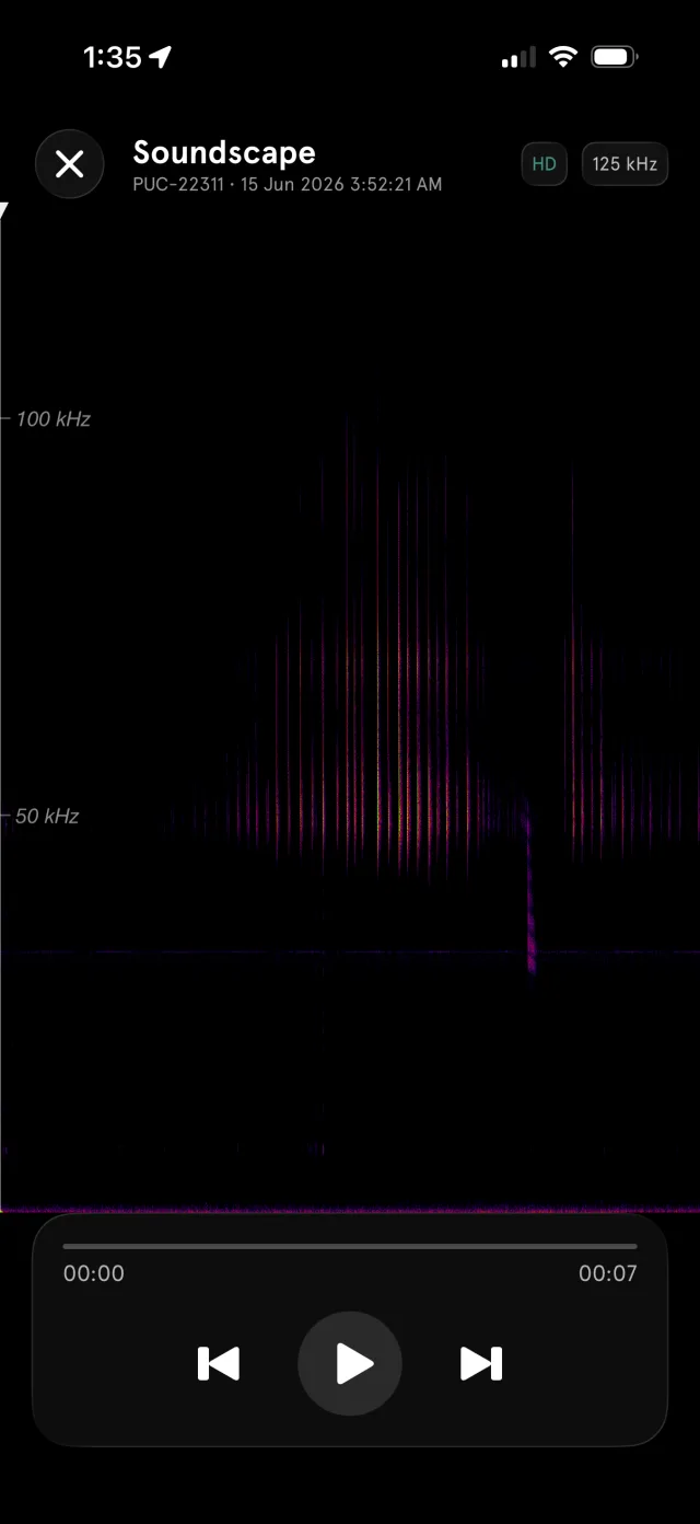 Full-screen — the complete call across the 0–125 kHz range, HD enabled