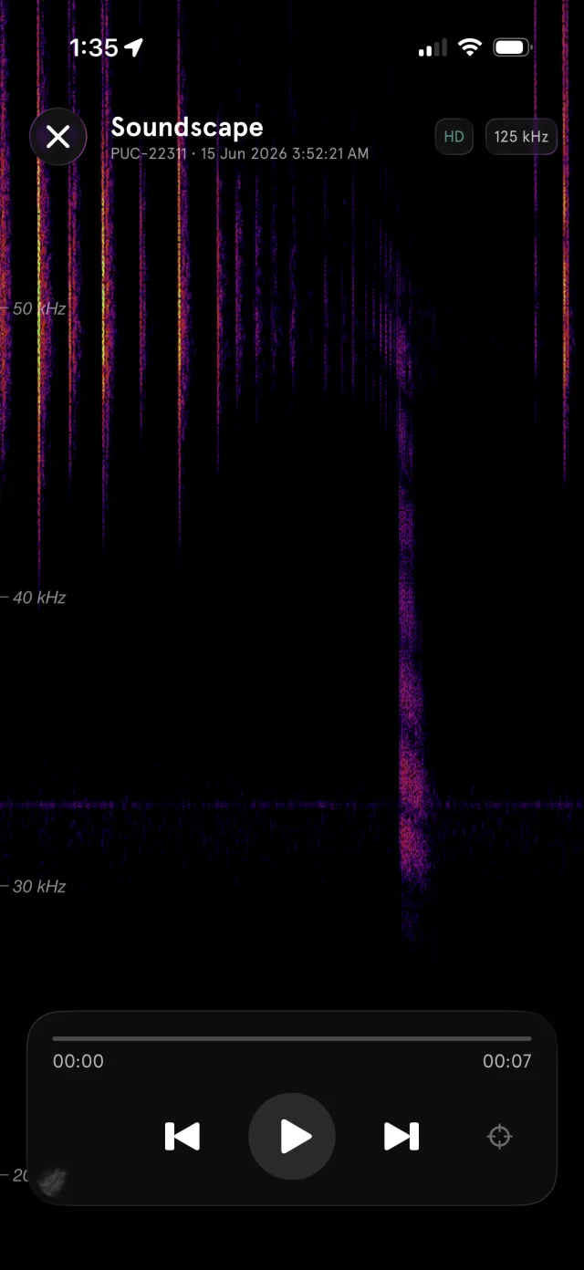 Zoomed to 30–50 kHz — individual pulses and their fine structure