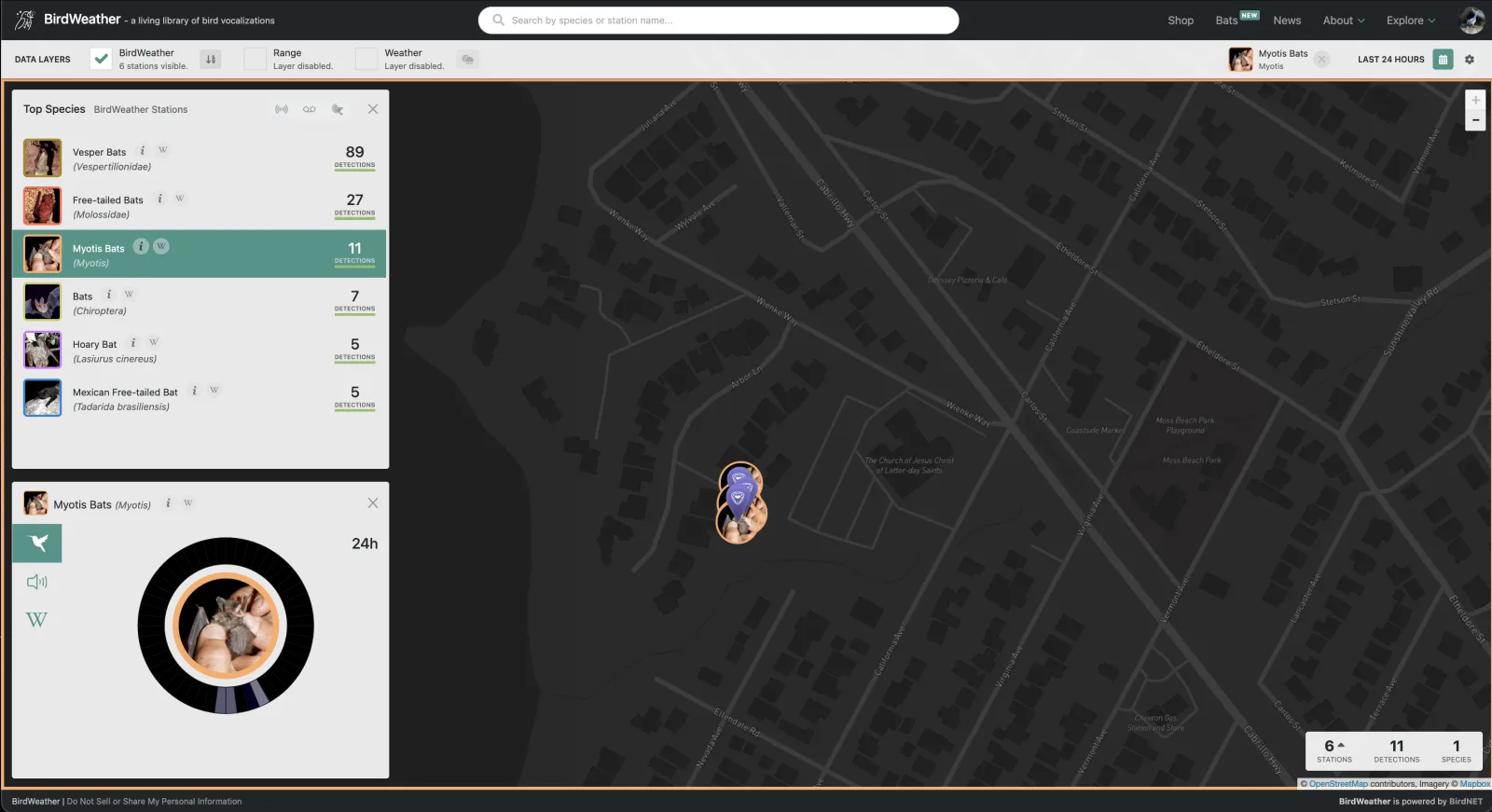 Live Map in Bat mode — Top Species for a station, with Myotis Bats selected