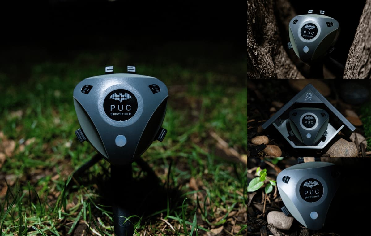 Bat-PUC-Photos-Cover